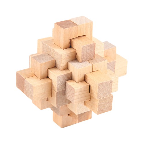 Woodpuzzle brain teaser toy - brain,