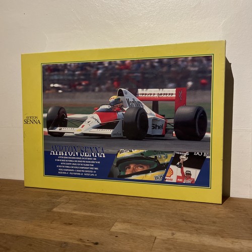 Ayrton senna 1000 piece - f1,