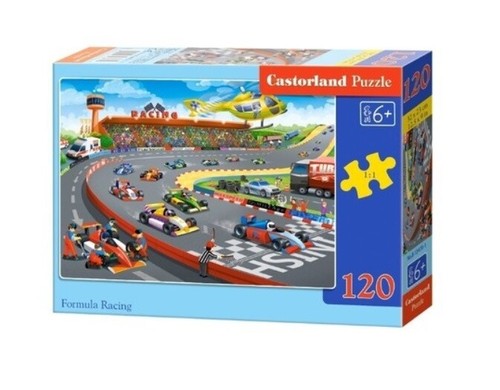 Jigsaw puzzle 120 formula - puzzle,
