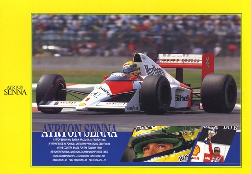 Goods ayrton senna jigsaw - [goods],